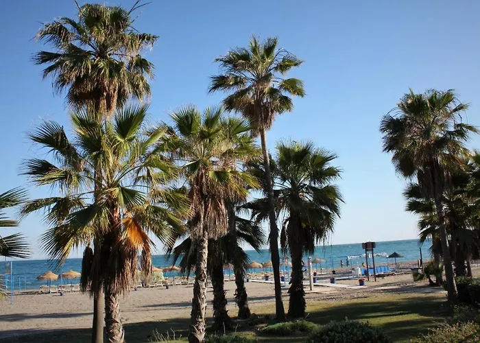 Benalbeach Aniko